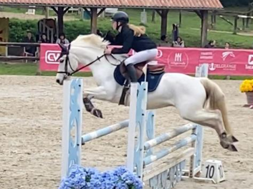 Un concours Premium à Lou Chibaou Barbaste un peu humide, et où se sont mélangés de belles performances : Caro et Cowboy 2nd du challenge 🎉 Amandine et Elle Rock 3emes de la finale , des poneys ( Bombyx et Fizz) sf en 1m et 110 🥕🥕 avec Anna L. Des sf pour Marie et Natacha ( le grand retour 😊) Et des sf ratés a peu de choses … et un toutou fatigué de surveiller tout ce petit monde ; bref un bon week-end chaleureux